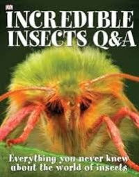 INCREDIBLE INSECTS Q&A