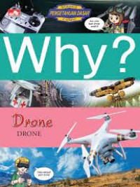 WHY ?  Drone