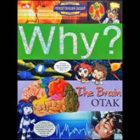 WHY ? The Brain ; Otak